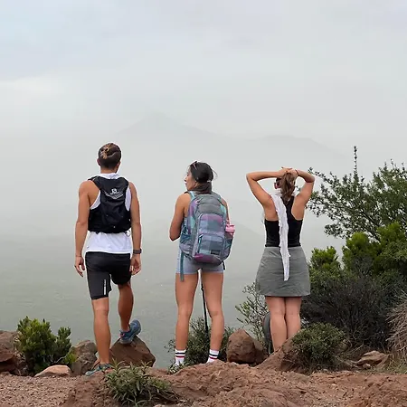 Duque Nest * 아데제