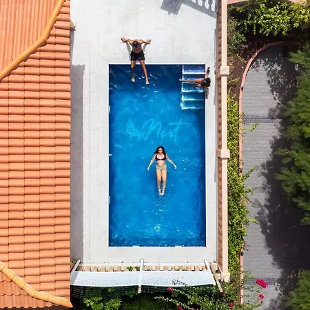 بيت شباب Duque Nest *