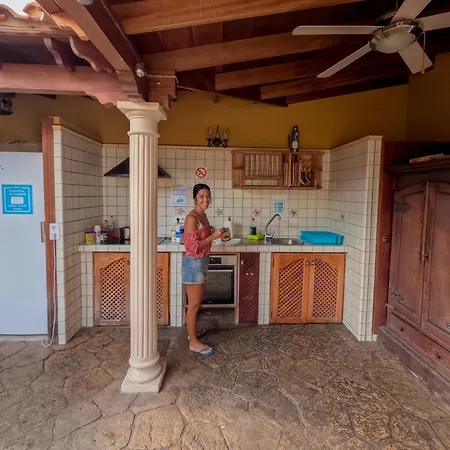 بيت شباب Duque Nest