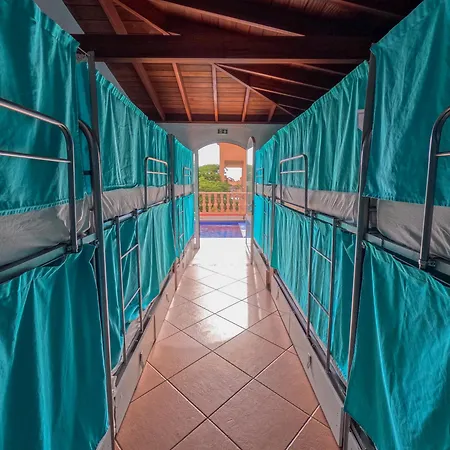 بيت شباب Duque Nest