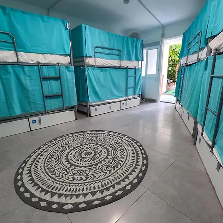 Duque Nest أذيخي