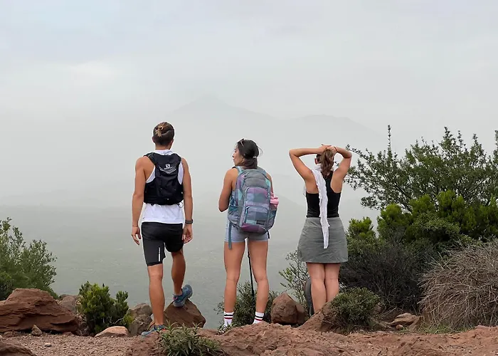 Duque Nest * アデヘ